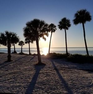 Meet your Posher, Sandy